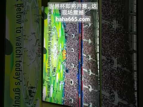 刘越提振精,国足信念坚,勇往直前,球探比分,球探,球探体育比分,球探体育